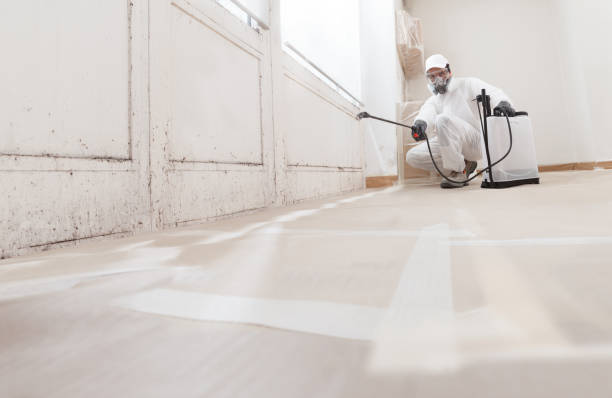 24/7 Emergency Mold Remediation experts in Haledon, NJ