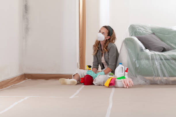 Reliable Mold Remediation contractor in Haledon, NJ by 24 Hour Mold Removal